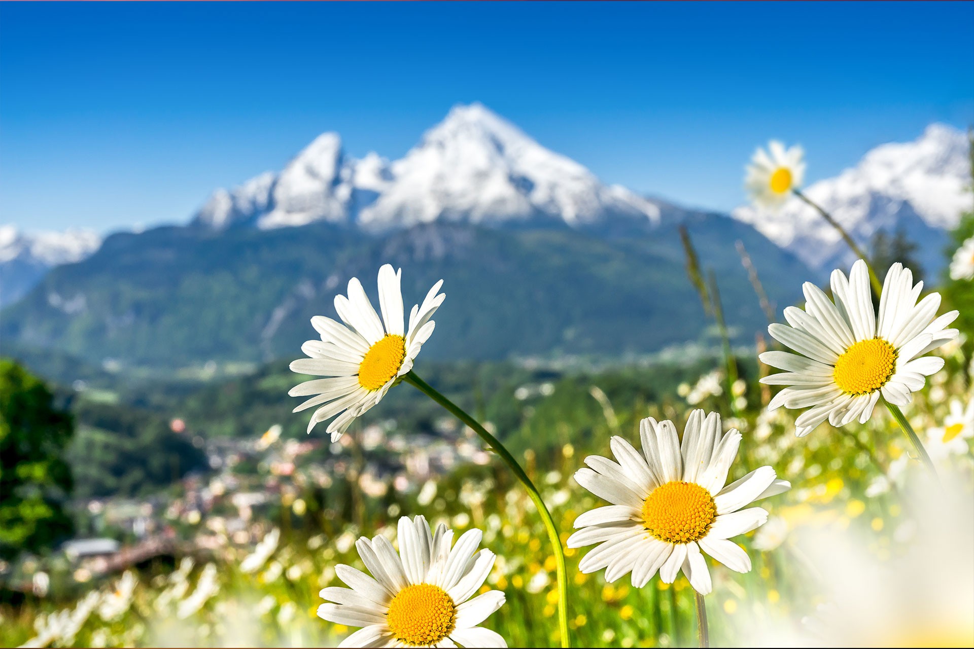 Watzmann im Frhling - Gasthof Wrndlhof am Hintersee