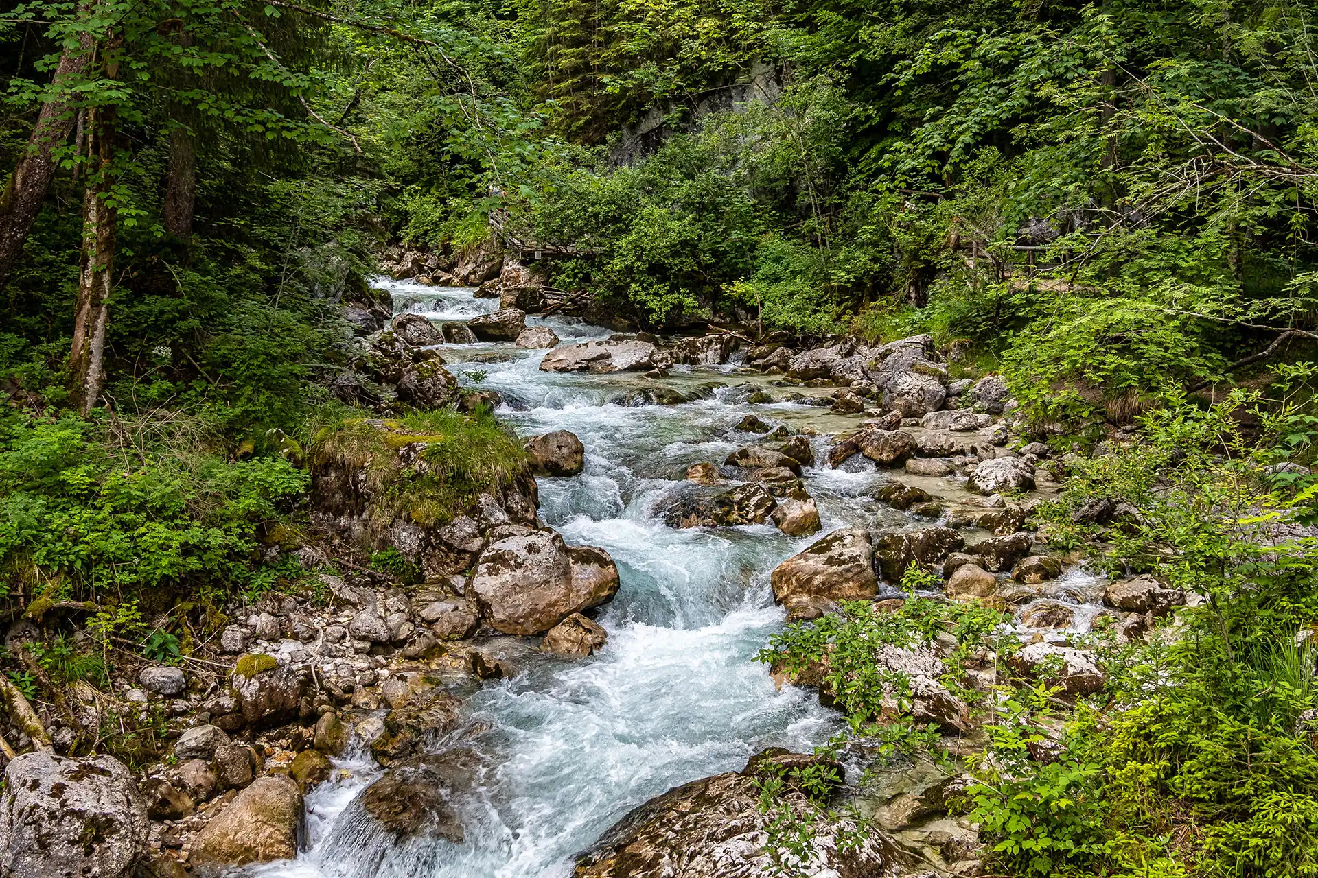 Zauberwald am Hintersee mit der Ramsauer Ache im Nationalpark Berchtesgaden, Deutschland